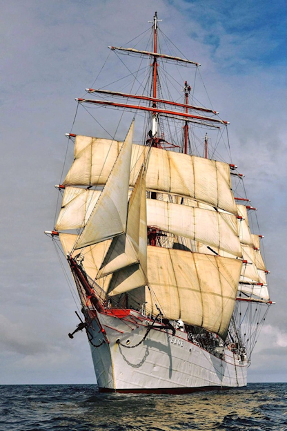 Sedov